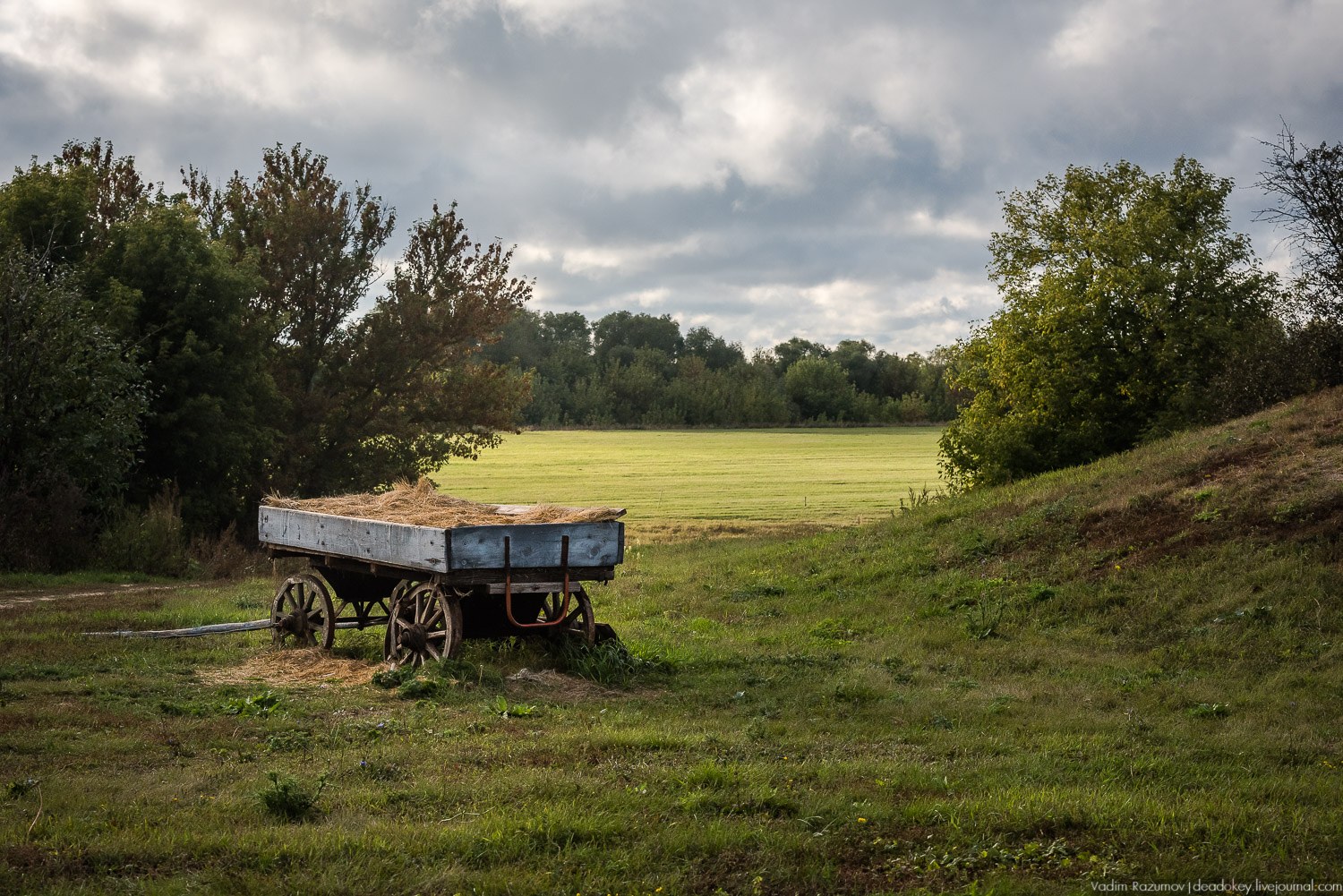 Липецкая область, усадьбы, инвестблогтур 