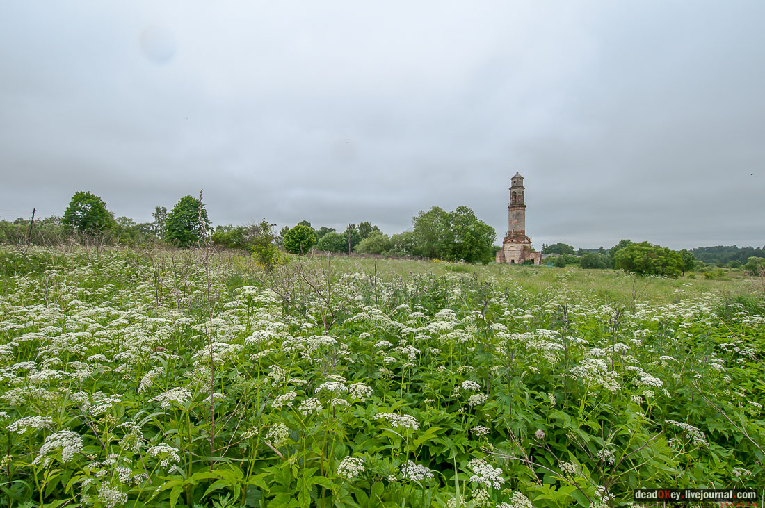 усадьба Арпачево (Тверская область, Новоторжский район, Н.А. Львов)