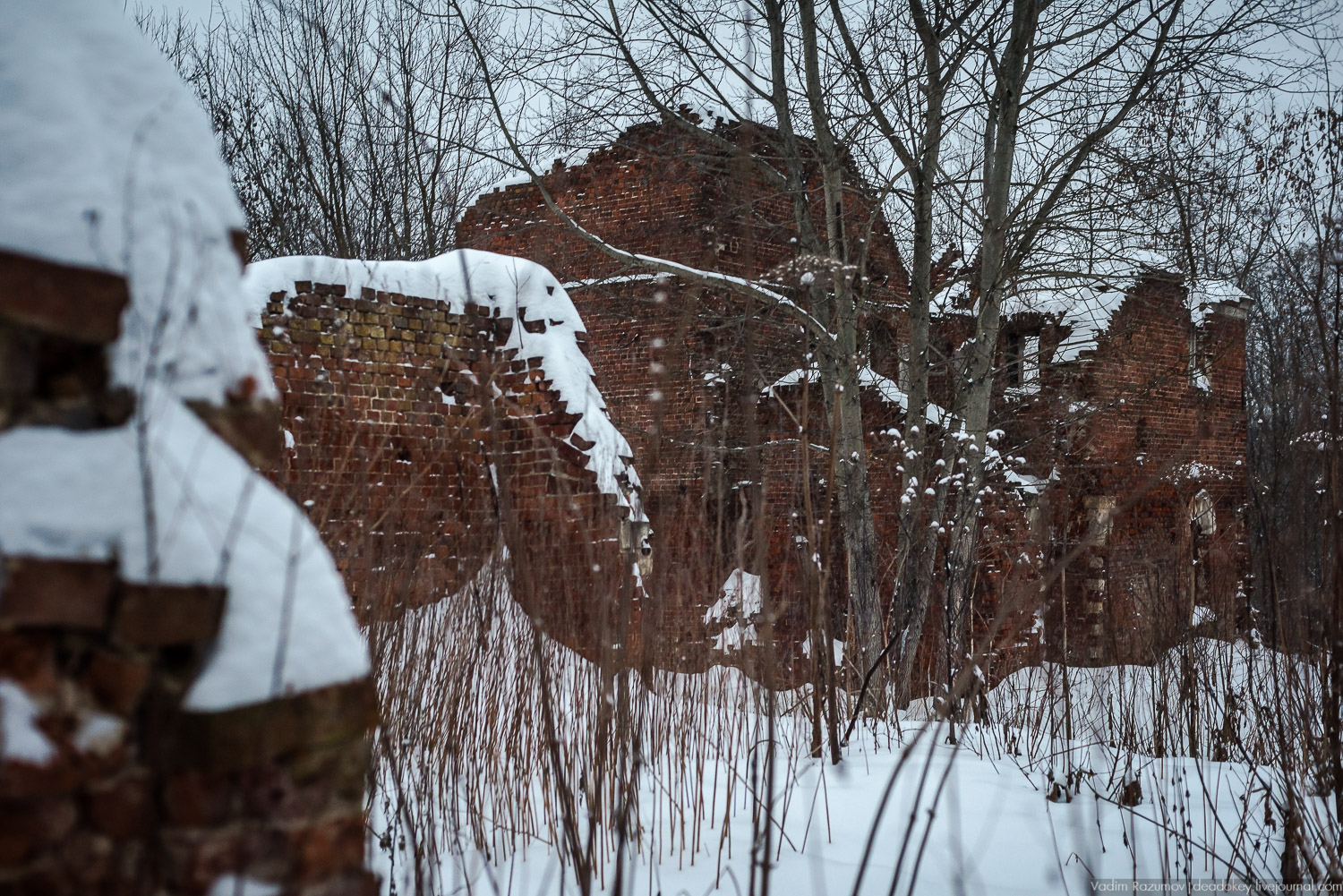 усадьба Знаменское-Садки