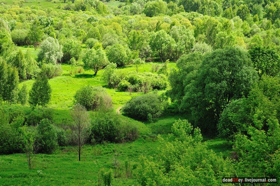 усадьба Братцево