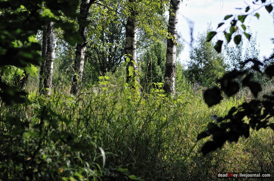 усадьба Хомяково