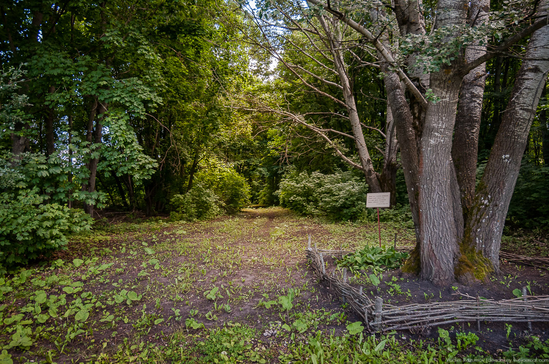 усадьба Кропотово-Лермонтово