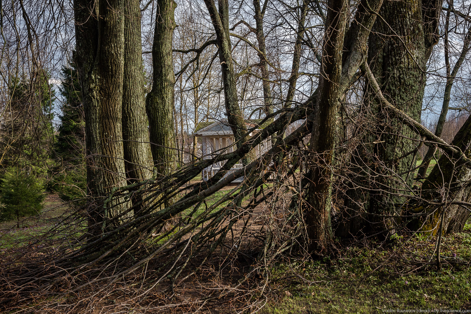 усадьба Домотканово, весна 2018 год