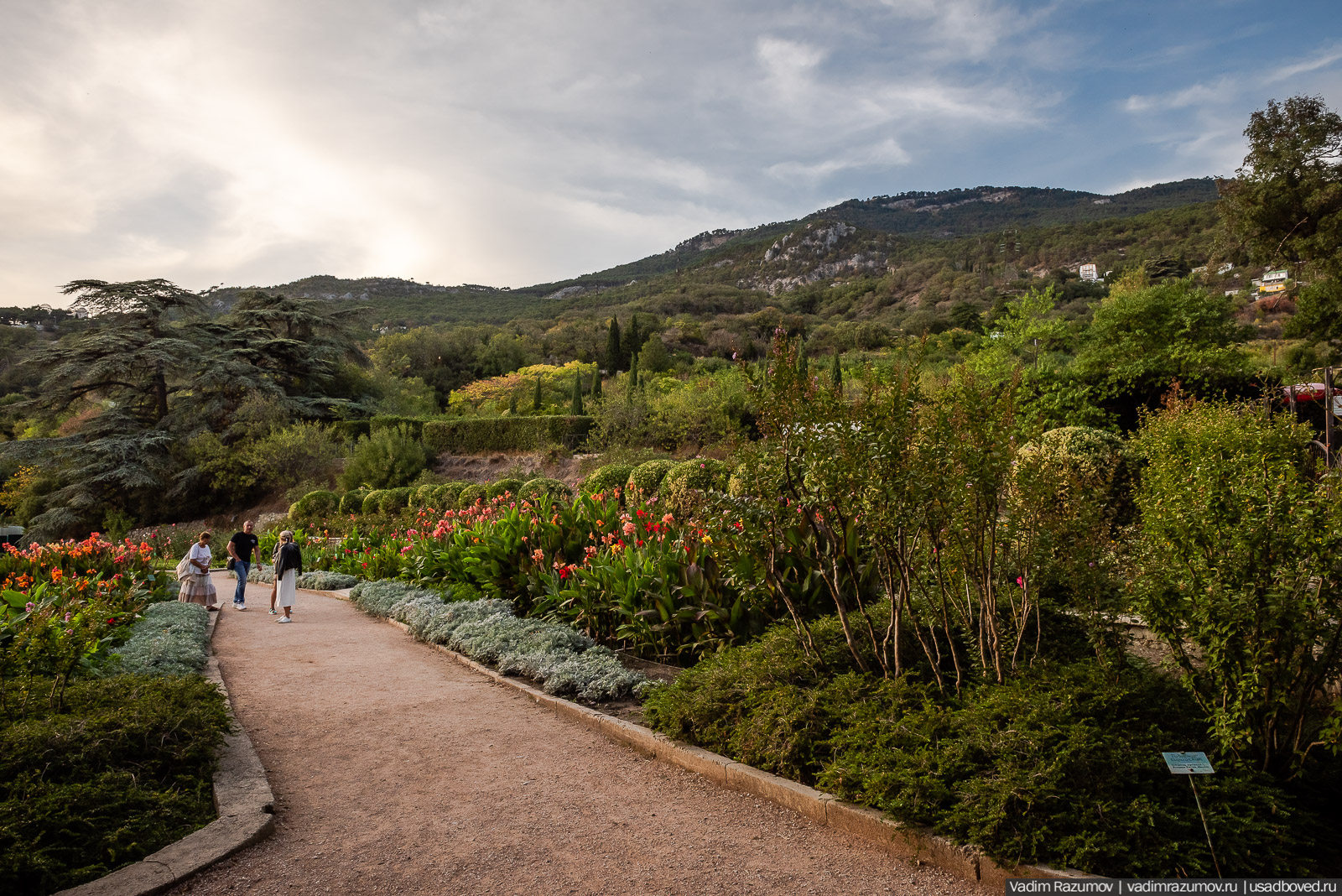 Никитский ботанический сад