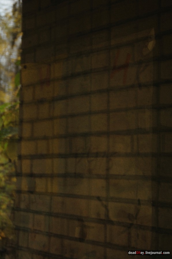 усадьба Жуково