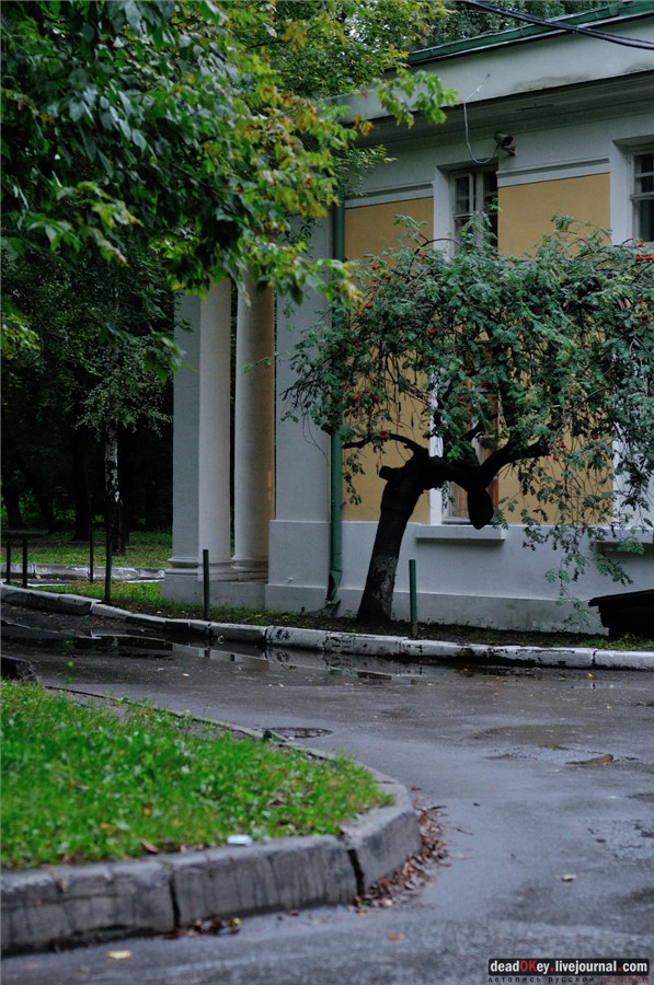 усадьба Строганова Дача