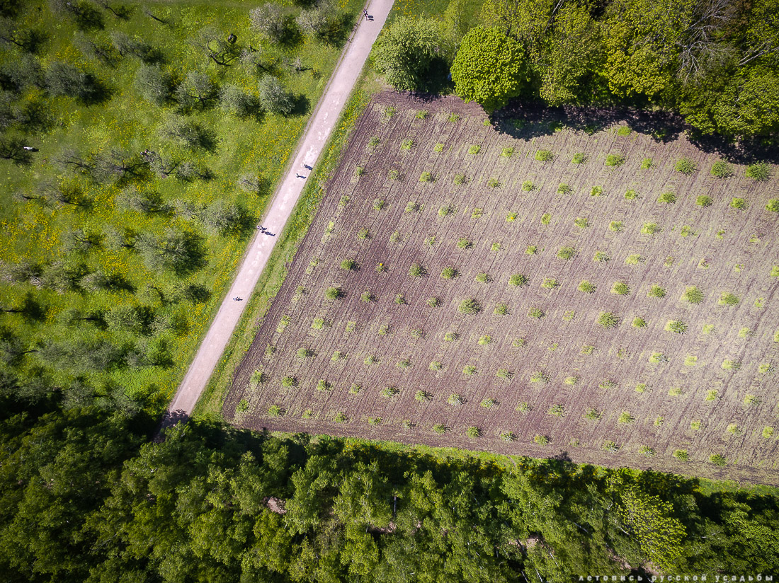 В гости с дроном к Л.Н. Толстому в усадьбу Ясная Поляна, Тульская область, Щекинский район, дер. Ясная Поляна