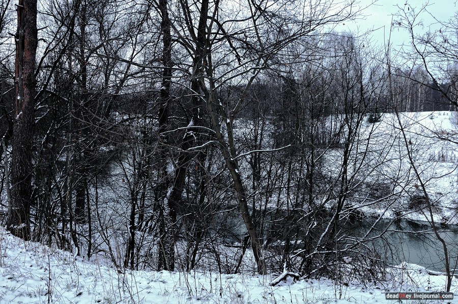 усадьба Медное-Власово