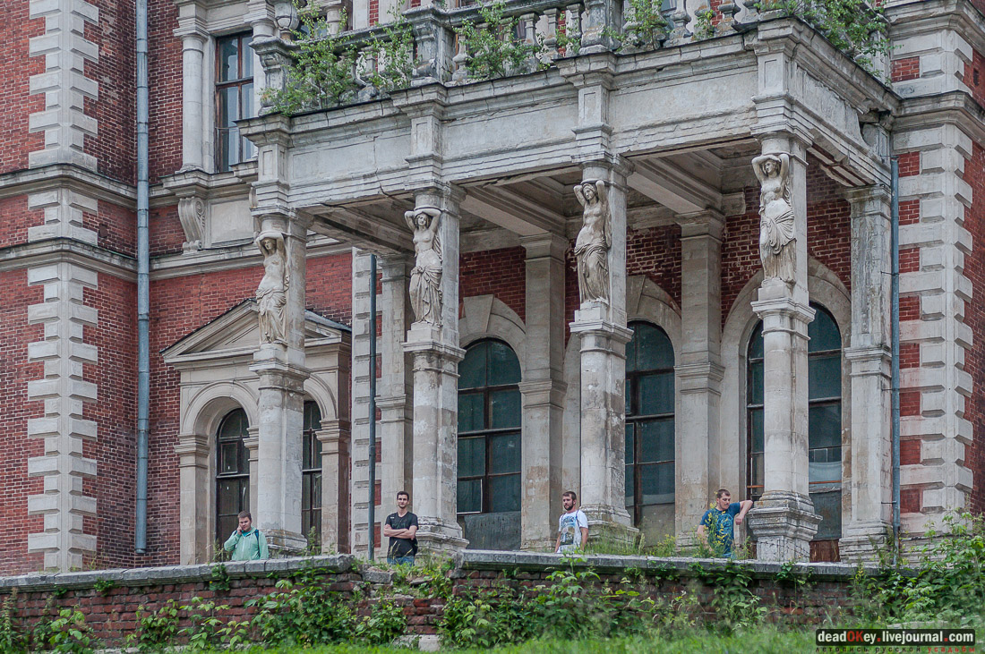 усадьба Быково, пресс-релиз встречи волонтеров