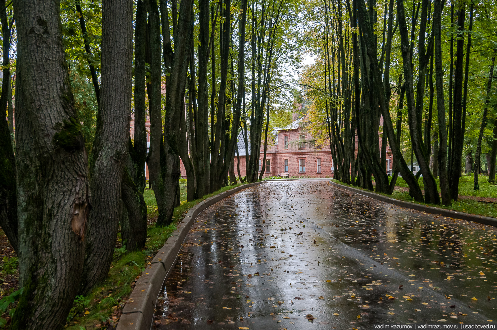 усадьба Васильевское (Марьино) Щербатовых, Рузский район, Московская область