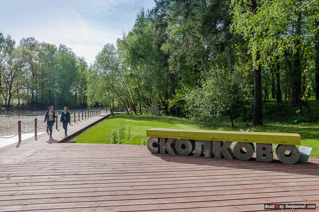 усадьба Мамоново, Сколково, Гусева полоса