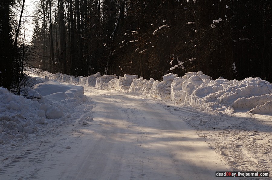 усадьба Костино Сабашниковых