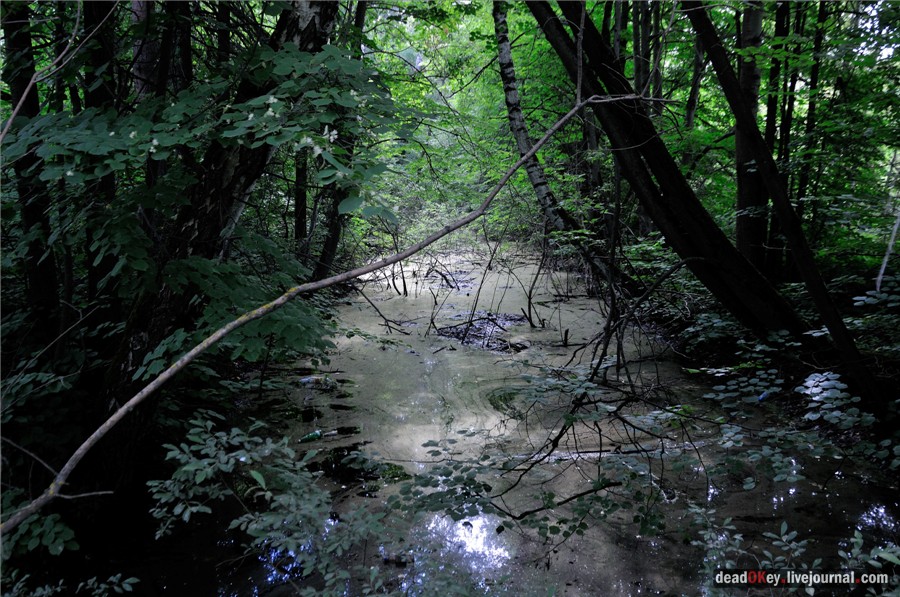 усадьба Алмазово