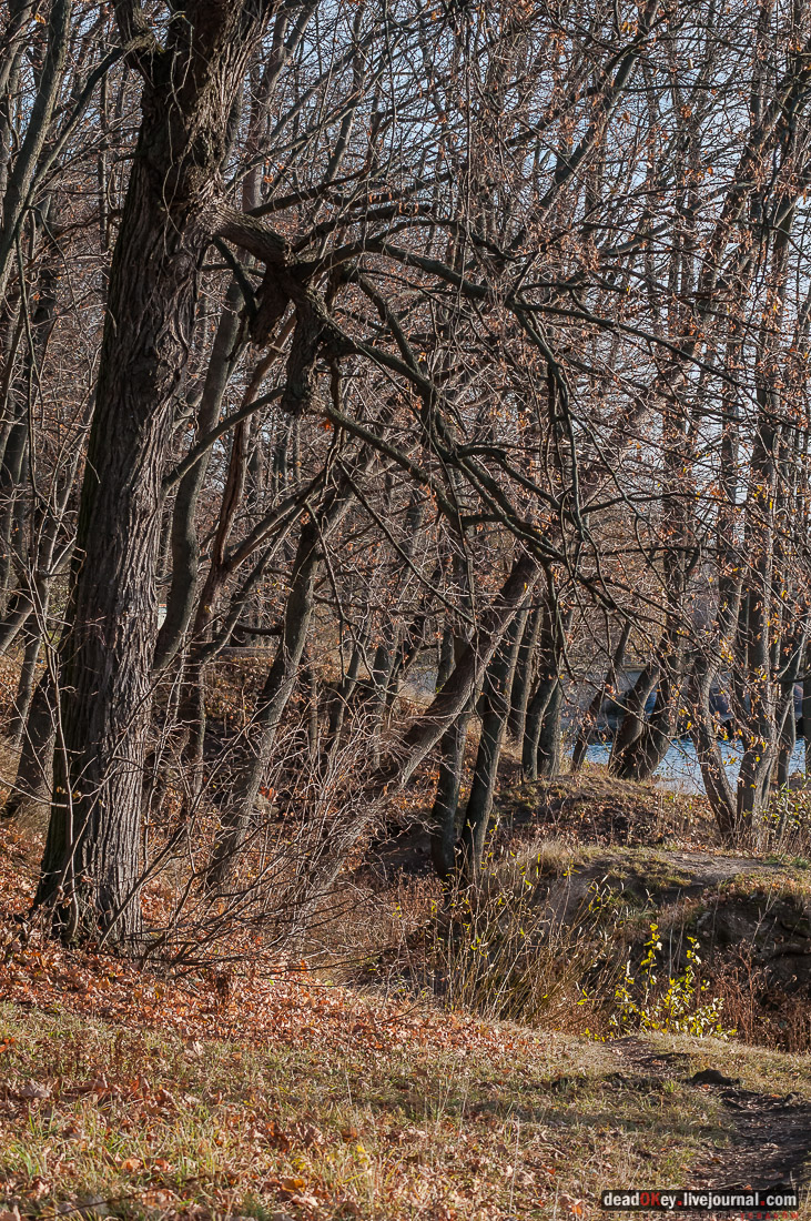 усадьба Богородицк
