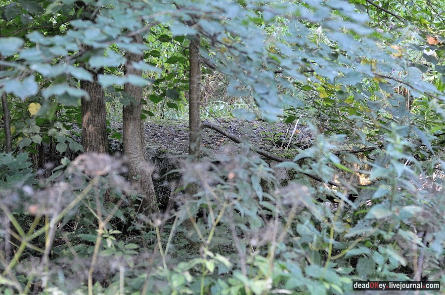 усадьба Хомяково