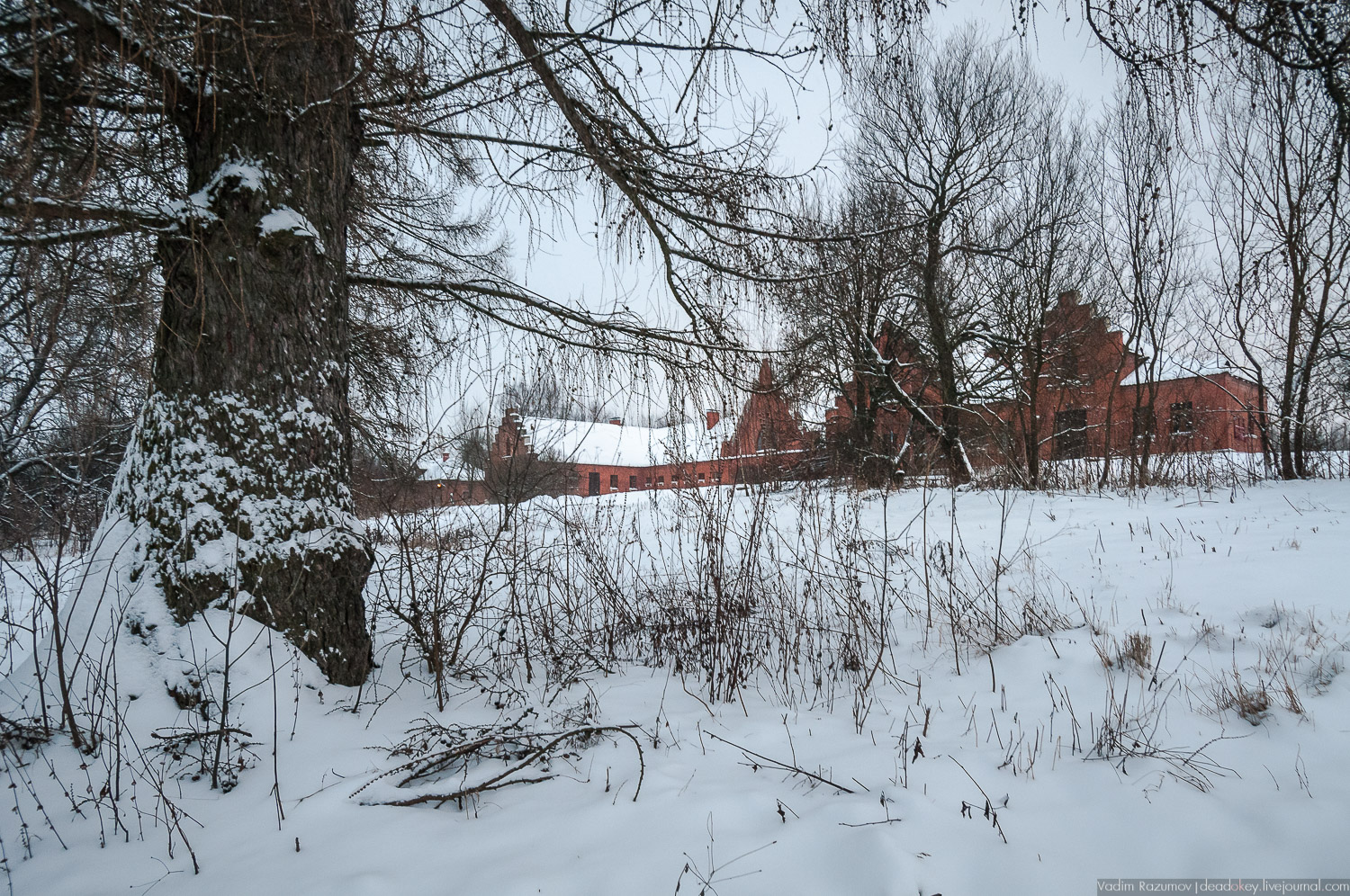 усадьба Знаменское-Садки