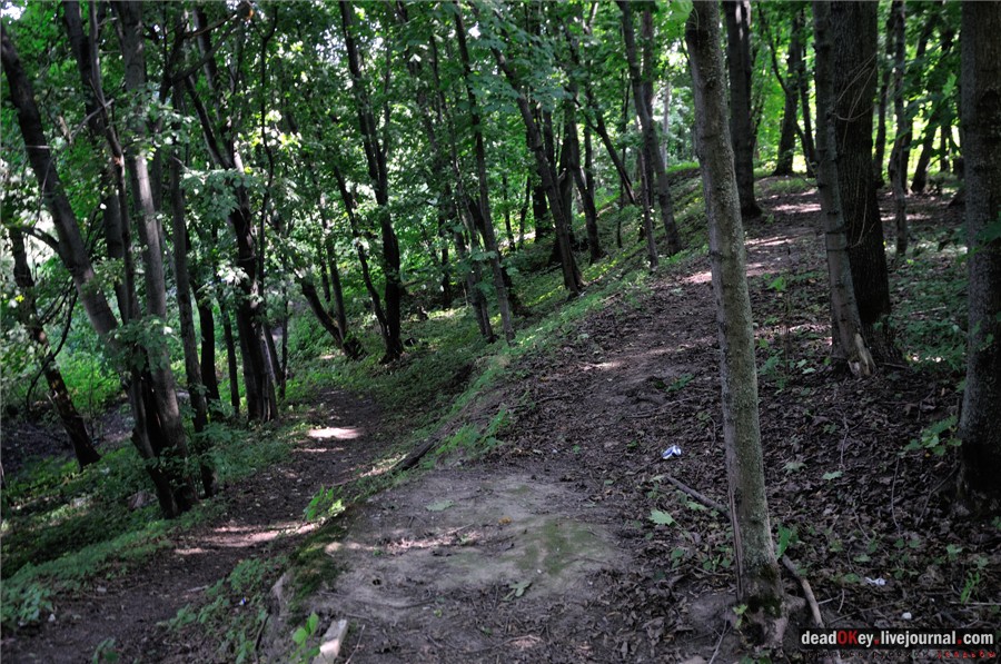 усадьба Никольское-Тимонино