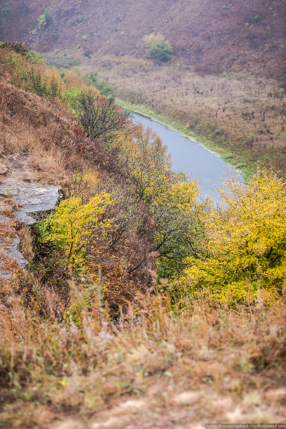 Липецкая область, усадьбы, инвестблогтур 