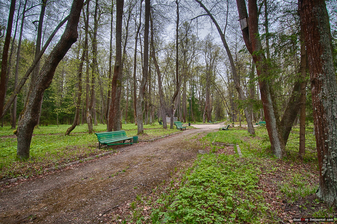 усадьба Михайловское