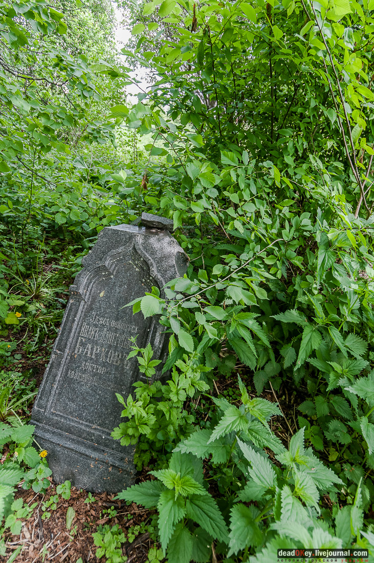 усадьба Коленцы