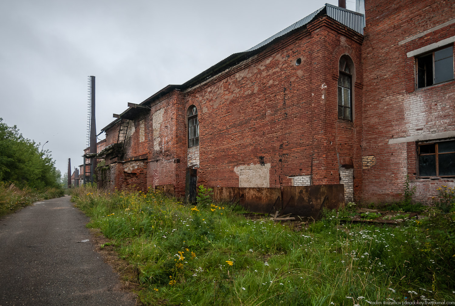 Фарфоровый завод, Вербилки