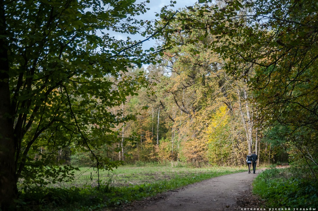 Усадебный экспресс. Ясная Поляна.
