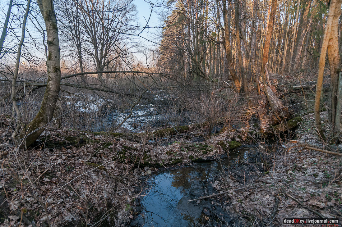 усадьба Никольское-Урюпино