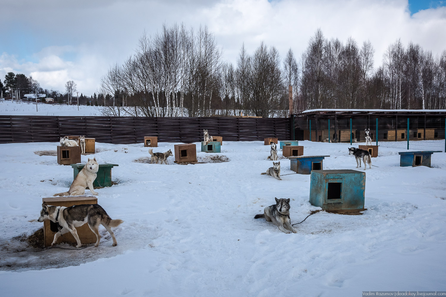 Рузская Аляска, Рузский район Московской области, Экоэлектричка