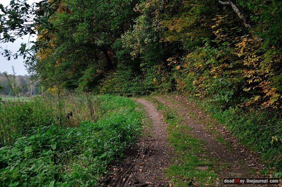 усадьба Ясная Поляна