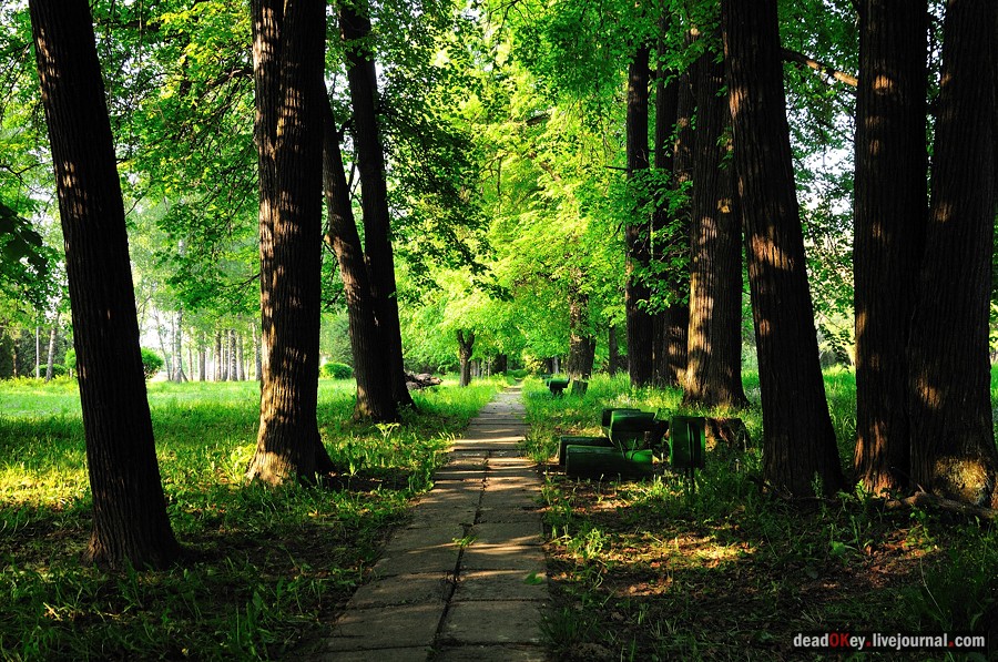 усадьба Богословское-Могильцы