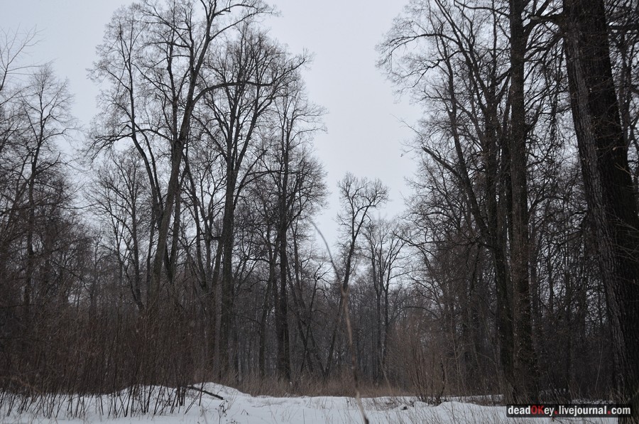 усадьба Марьинка