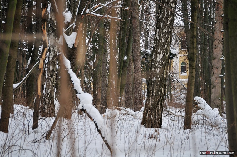 усадьба Дугино