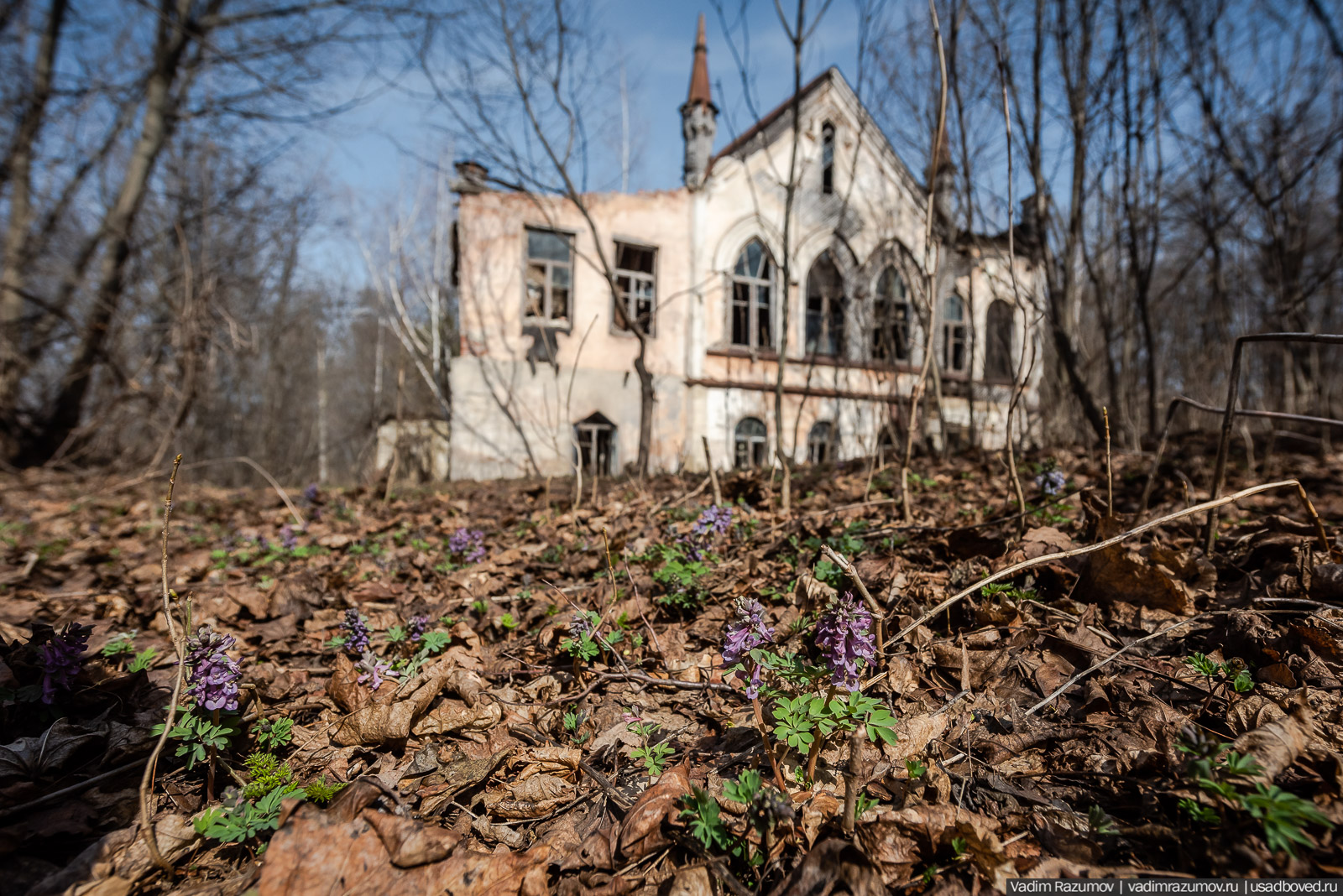 усадьба Шаталовка весной 2021 года, Липецкая область, Елец