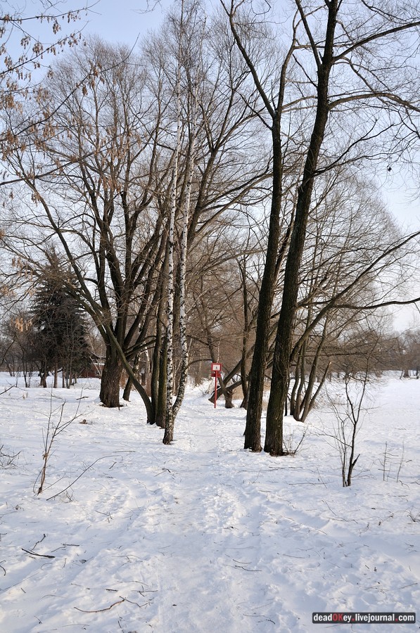 Косино
