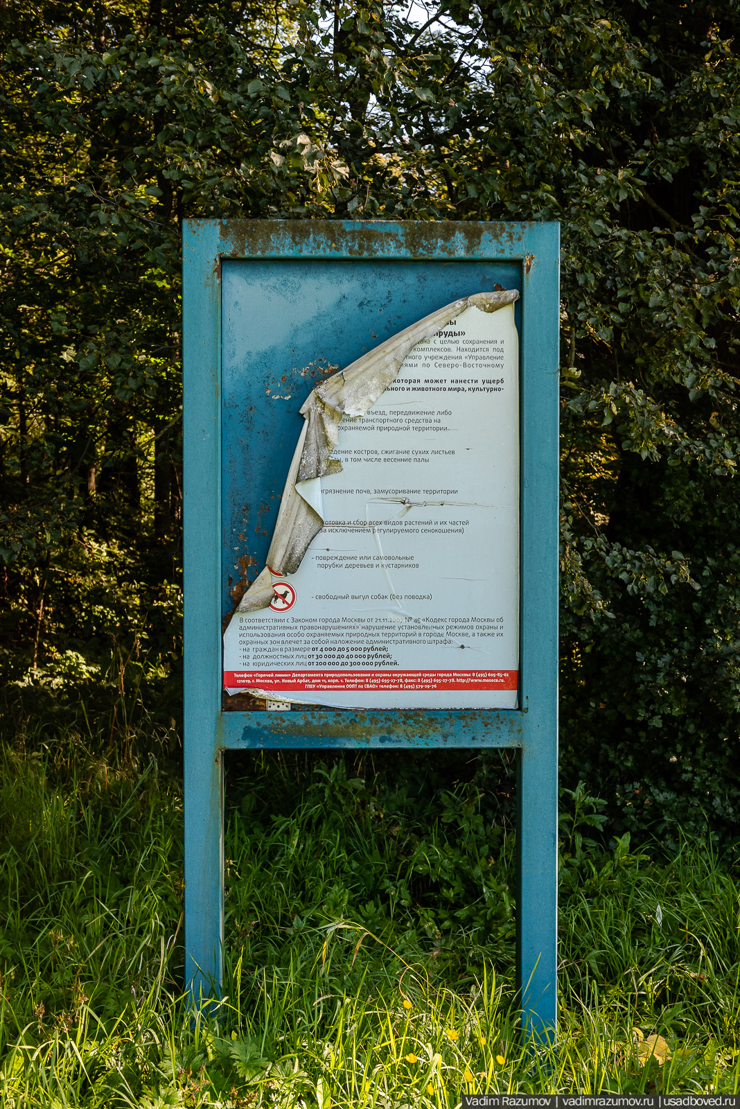 Усадьба Заболотье, парк, курганы, Долгопрудный, Москва