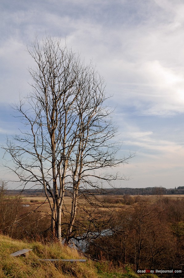 усадьба Бережки