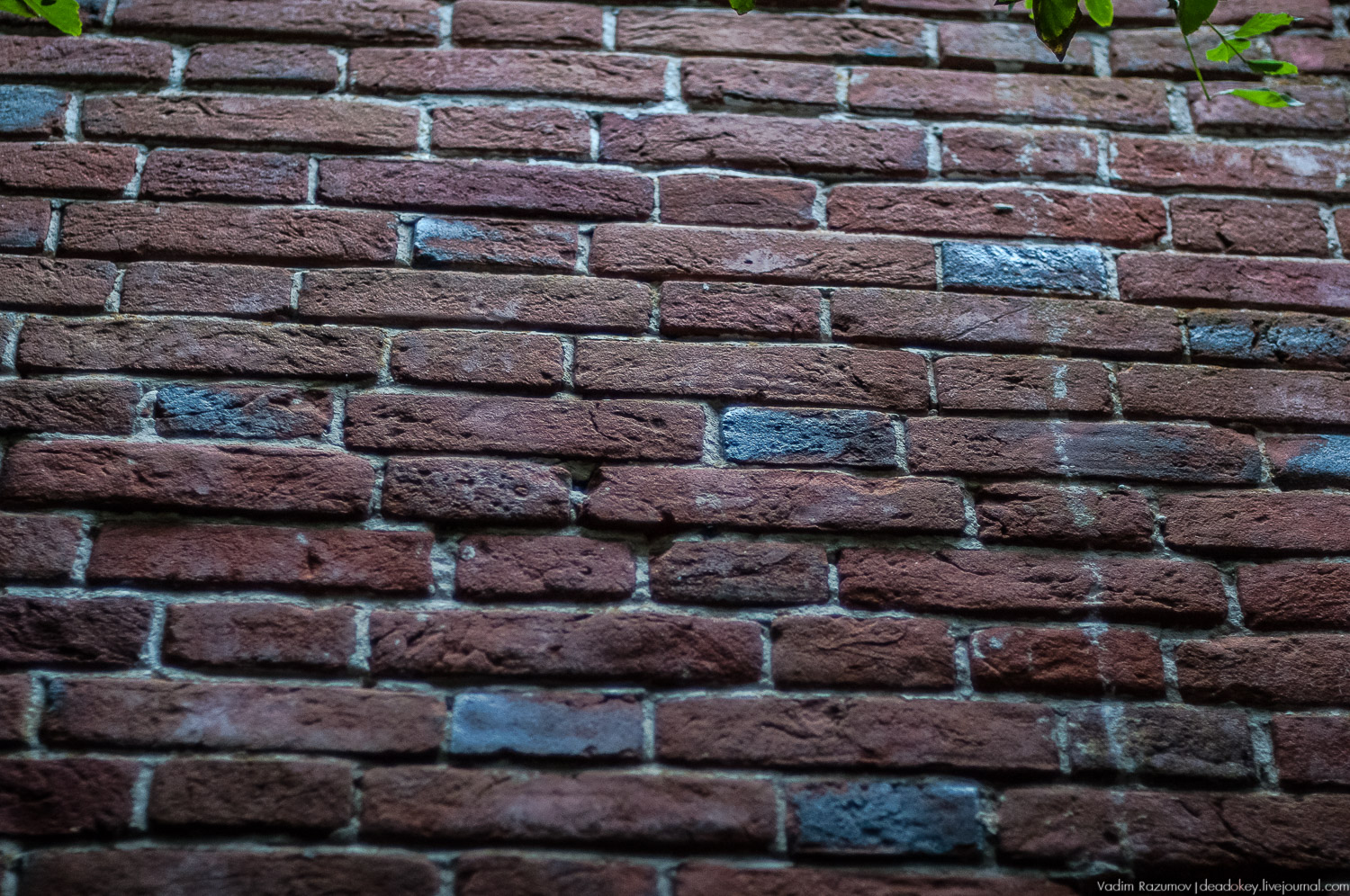 усадьба Каргашино