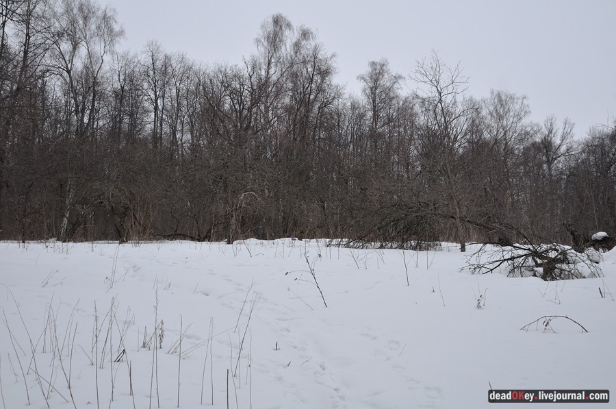 усадьба Троице-Лобаново