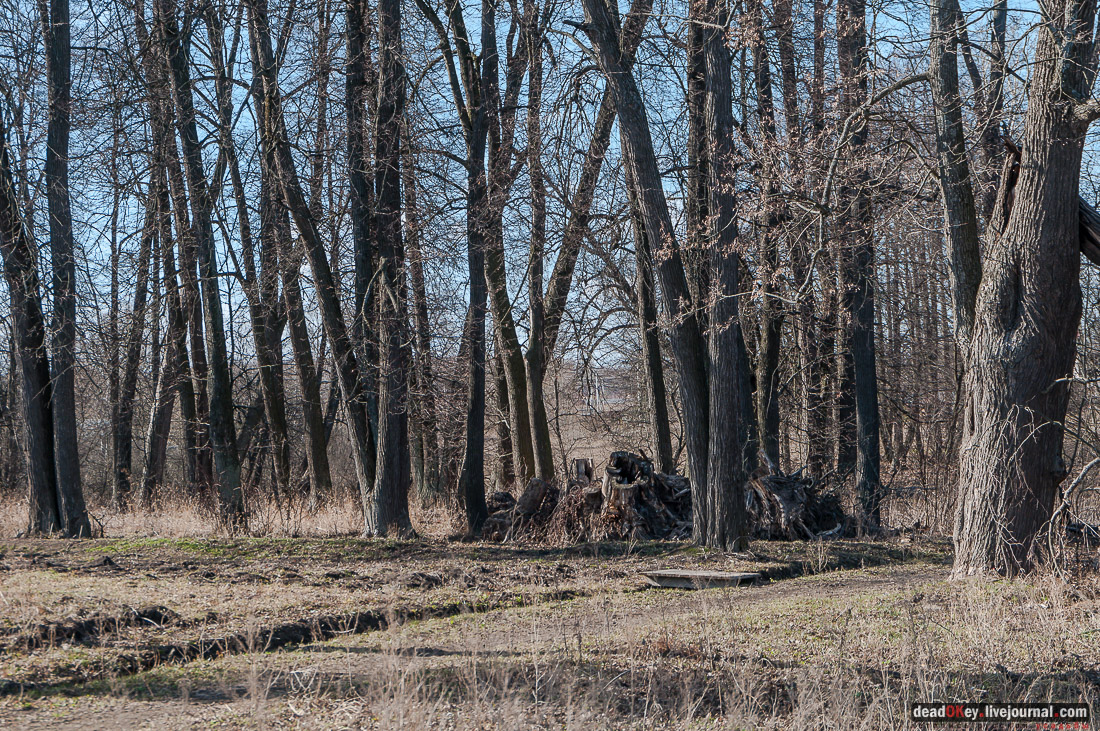 Усадьба Пешково