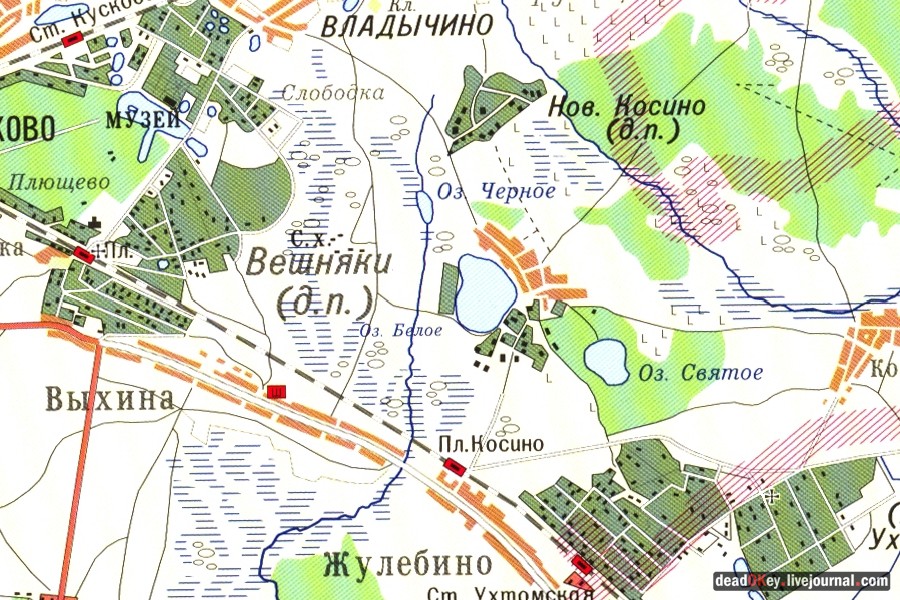 усадьба Косино