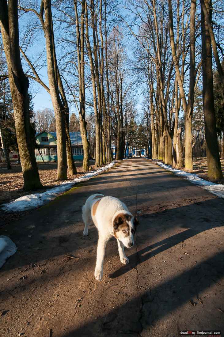 усадьба Бараново