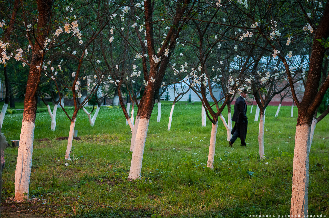 усадьба Любимовка, Сергей Безруков, Губернский театр, Вишневый сад