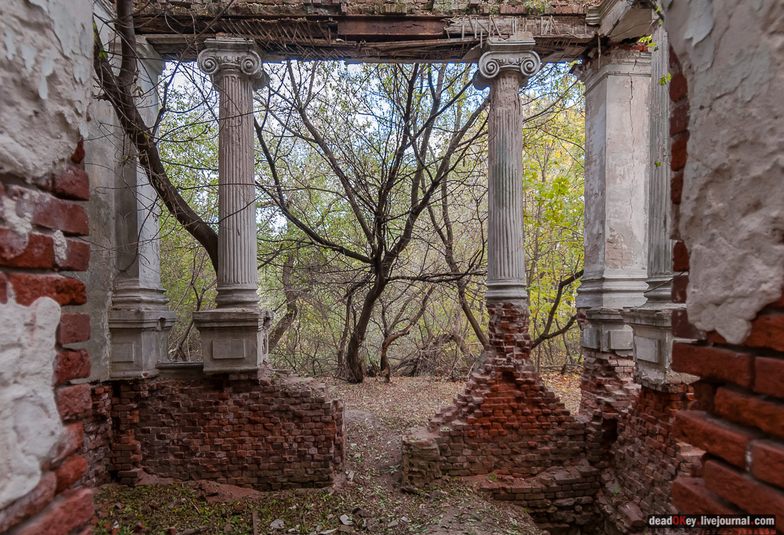 Костино