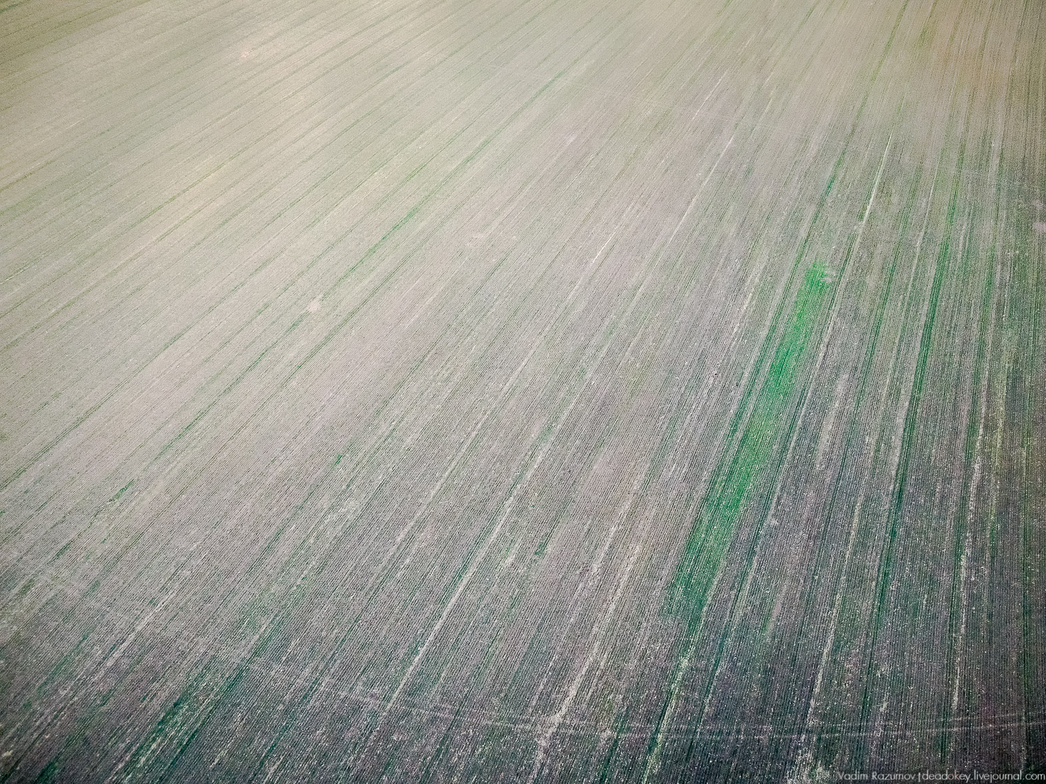 усадьба Мильшино поручика Ржевского, Тульская область