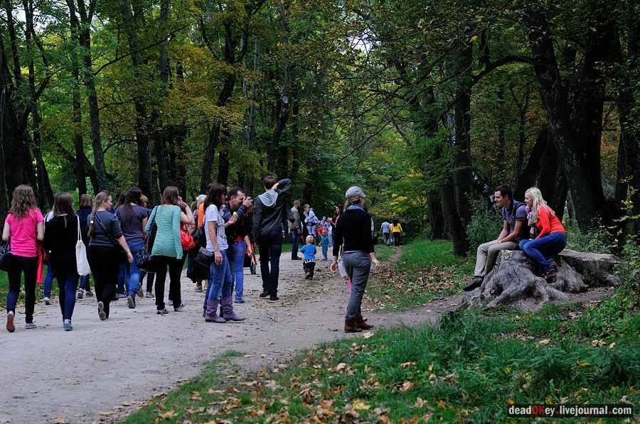 усадьба Ясная Поляна