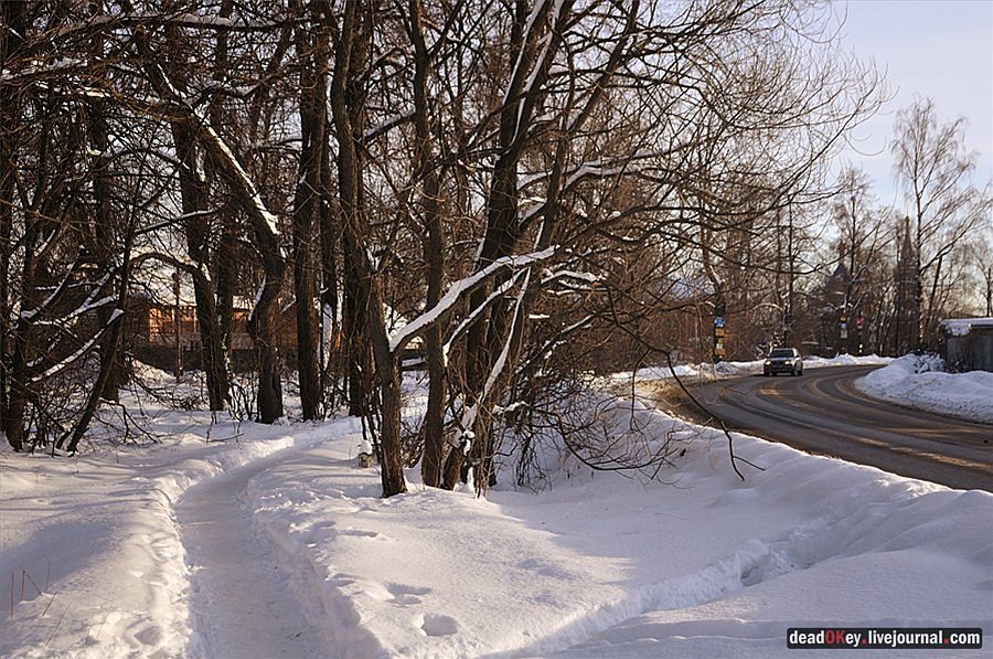 усадьба Осеченки