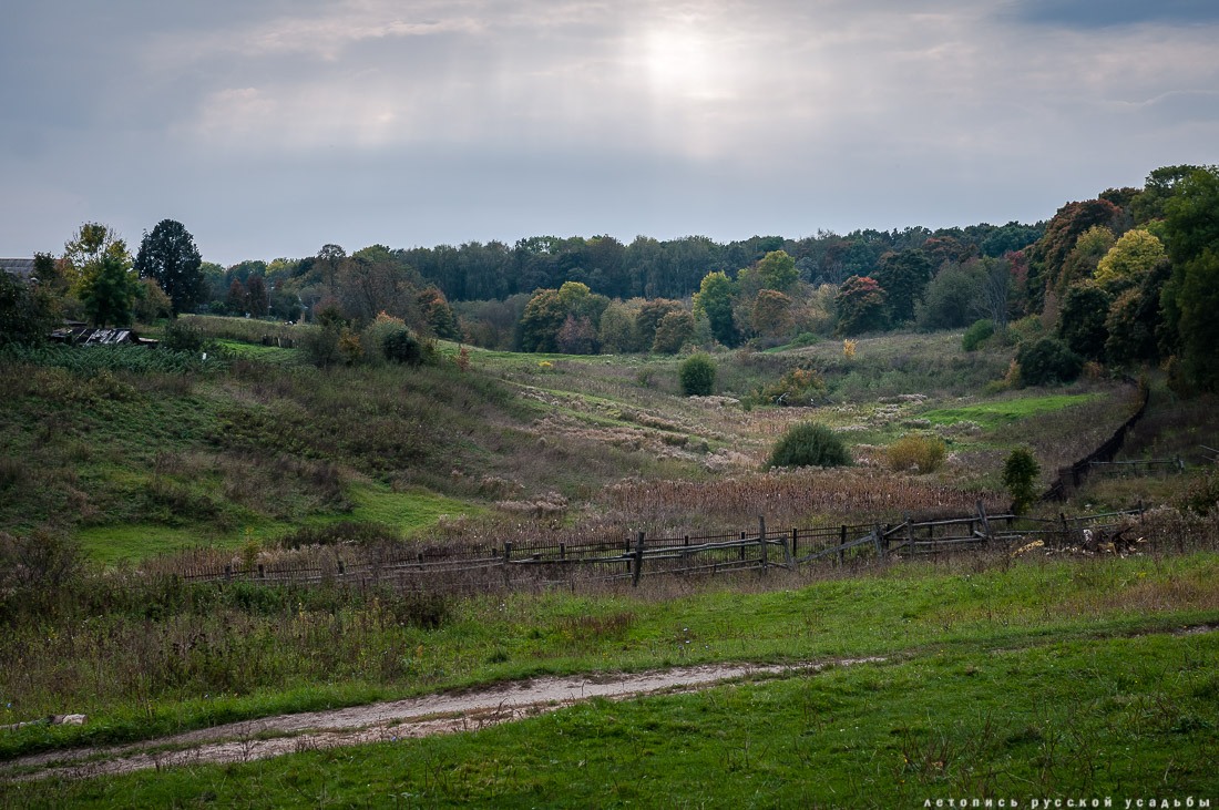 Усадебный экспресс. Ясная Поляна.