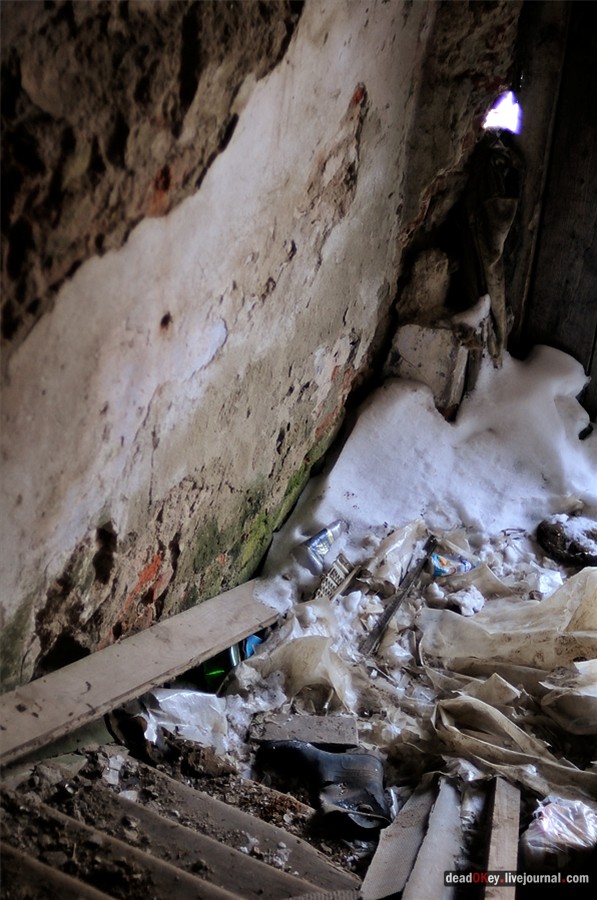 усадьба Костино Сабашниковых