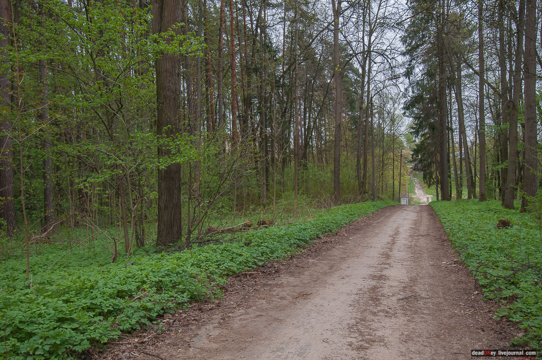 усадьба Михайловское