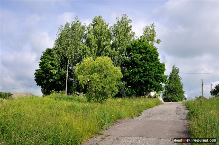 усадьба Дубки